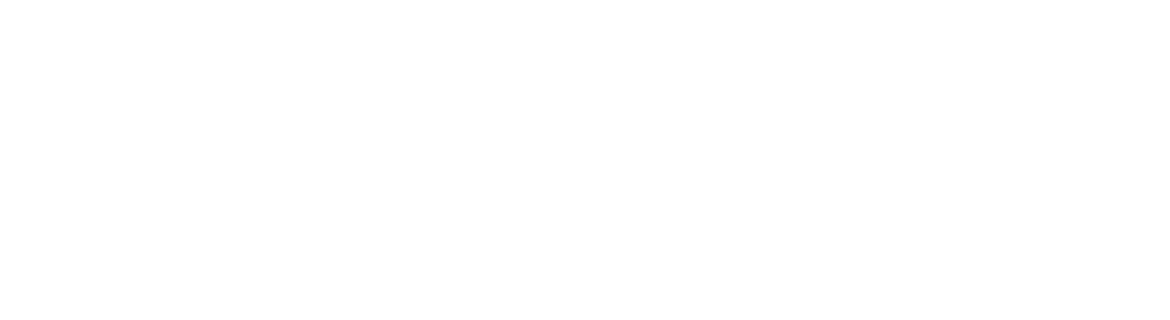 Downtown Washington Logo - White